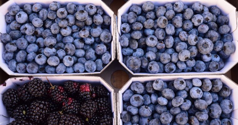 Blackberries vs Blueberries: 21 Key Differences